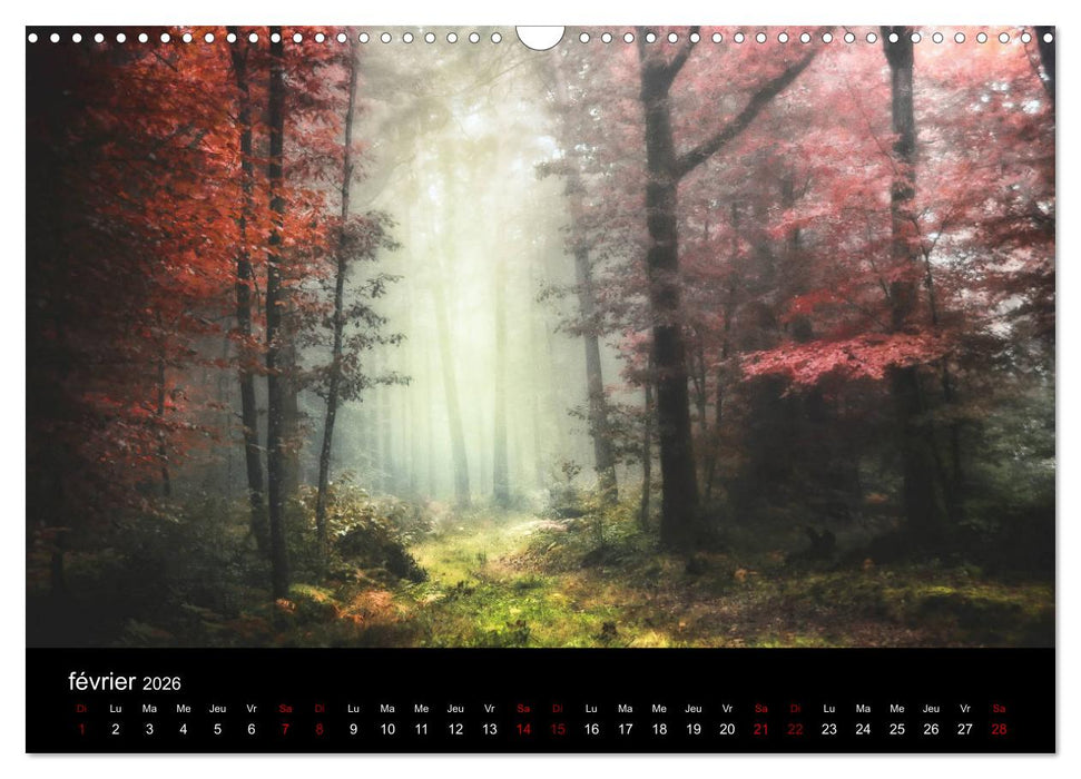 Lumières de Brocéliande (CALVENDO Calendrier mensuel 2026)