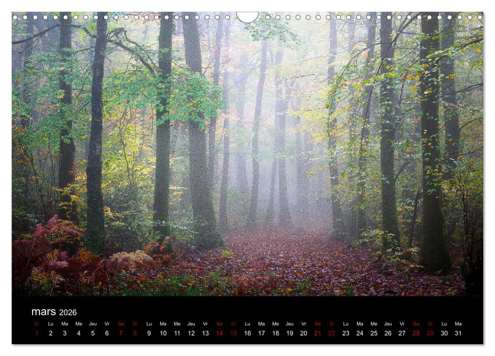 Lumières de Brocéliande (CALVENDO Calendrier mensuel 2026)