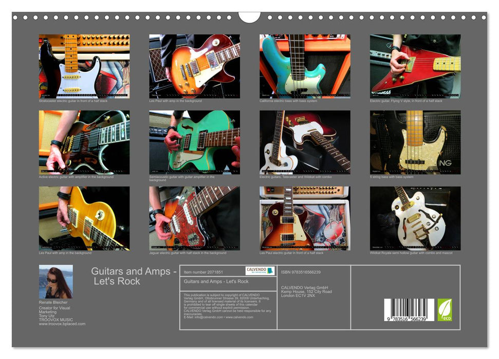 Guitars and Amps - Let's Rock (CALVENDO Monthly Calendar 2026)