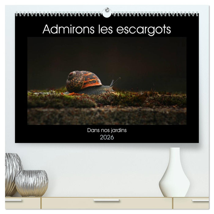 Admirons les escargots (CALVENDO Calendrier supérieur 2026)
