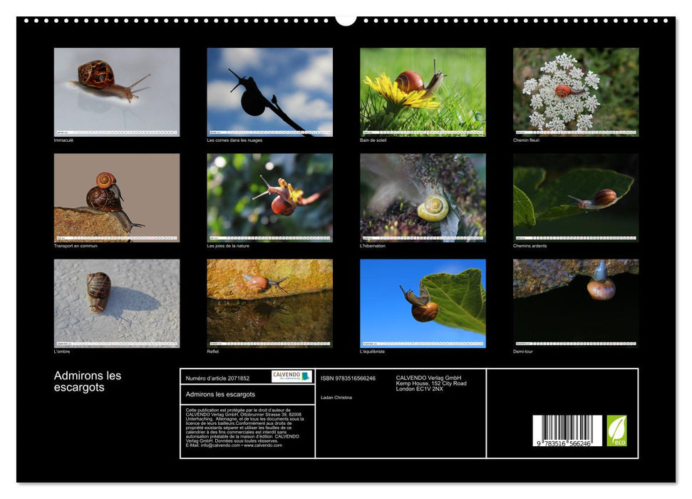 Admirons les escargots (CALVENDO Calendrier supérieur 2026)