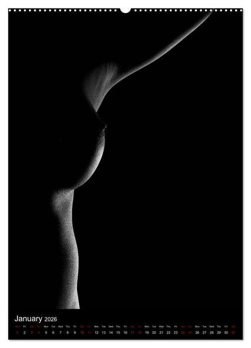 erotic shadows 2026 (CALVENDO Premium-Calendar 2026)