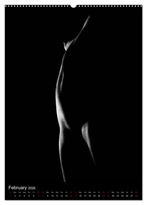 erotic shadows 2026 (CALVENDO Premium-Calendar 2026)