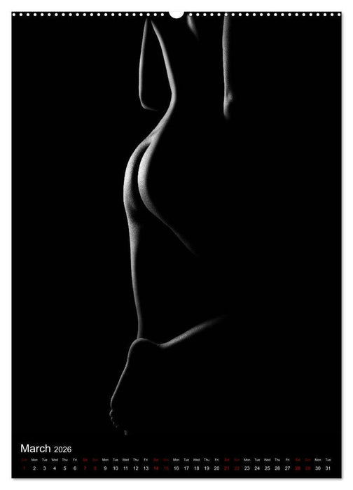 erotic shadows 2026 (CALVENDO Premium-Calendar 2026)
