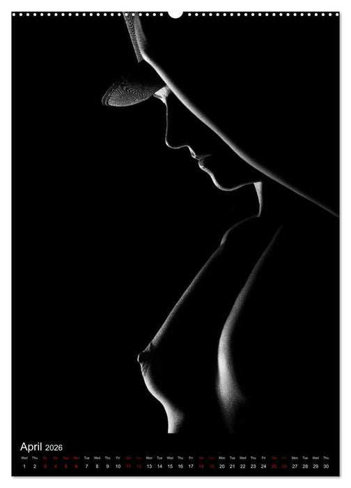 erotic shadows 2026 (CALVENDO Premium-Calendar 2026)