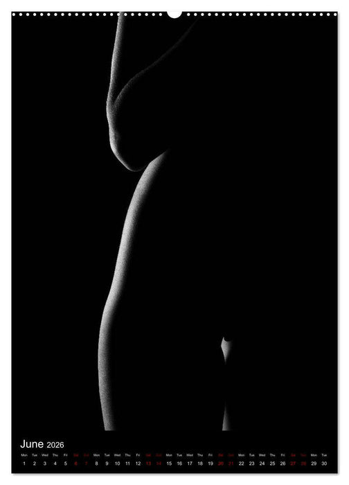 erotic shadows 2026 (CALVENDO Premium-Calendar 2026)