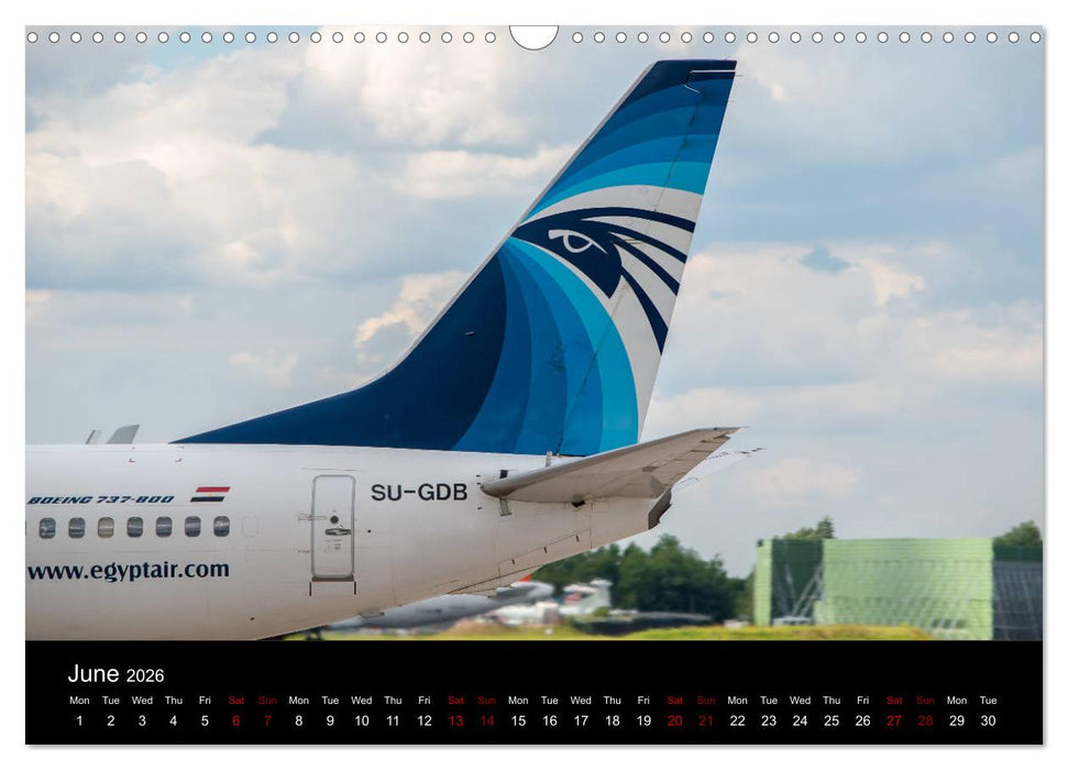 Airline Tails (CALVENDO Monthly Calendar 2026)