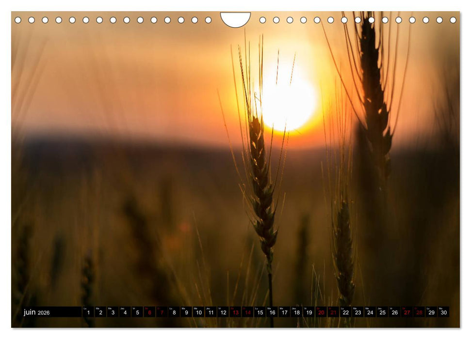 Paysages du Québec (CALVENDO Calendrier mensuel 2026)