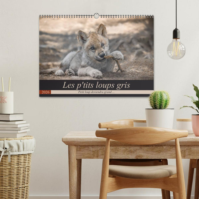 Les p'tits loups gris (CALVENDO Calendrier mensuel 2026)