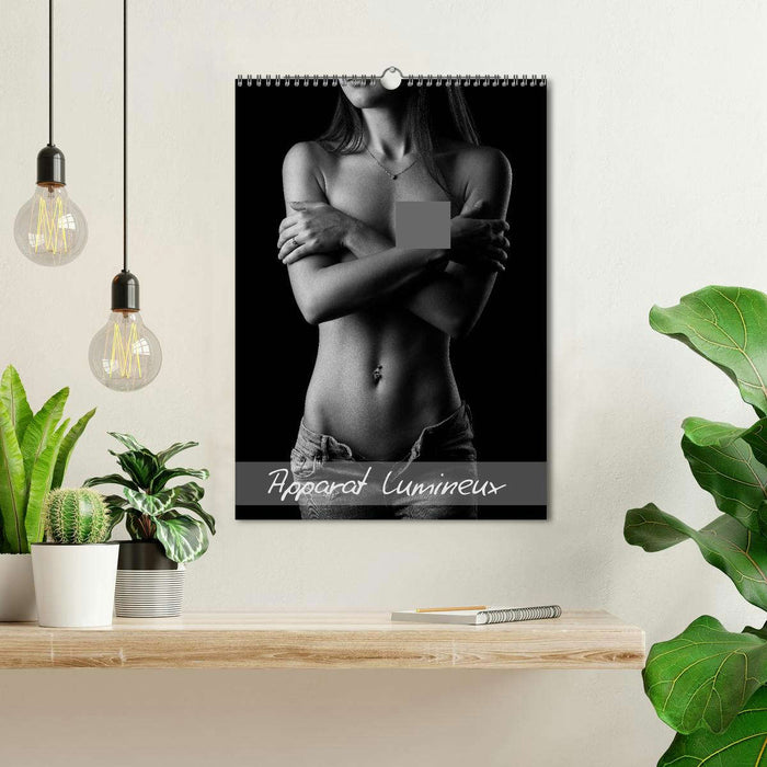 Apparat lumineux (CALVENDO Calendrier mensuel 2026)