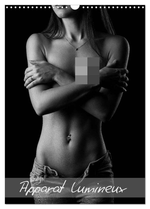 Apparat lumineux (CALVENDO Calendrier mensuel 2026)