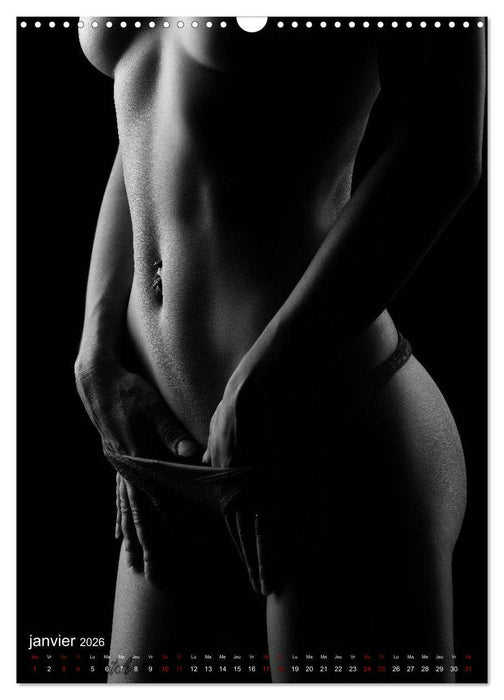 Apparat lumineux (CALVENDO Calendrier mensuel 2026)