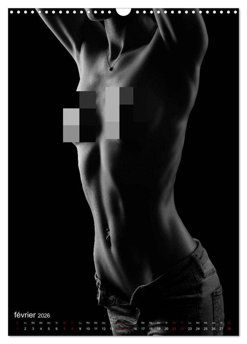 Apparat lumineux (CALVENDO Calendrier mensuel 2026)