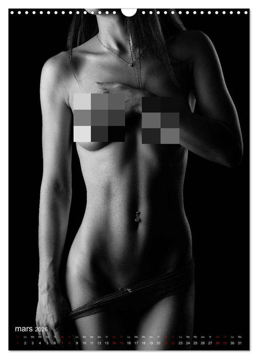 Apparat lumineux (CALVENDO Calendrier mensuel 2026)