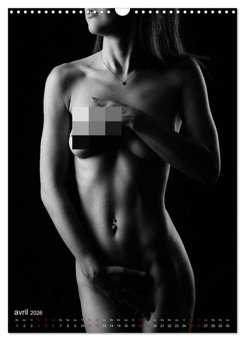 Apparat lumineux (CALVENDO Calendrier mensuel 2026)