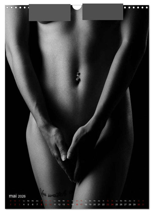 Apparat lumineux (CALVENDO Calendrier mensuel 2026)