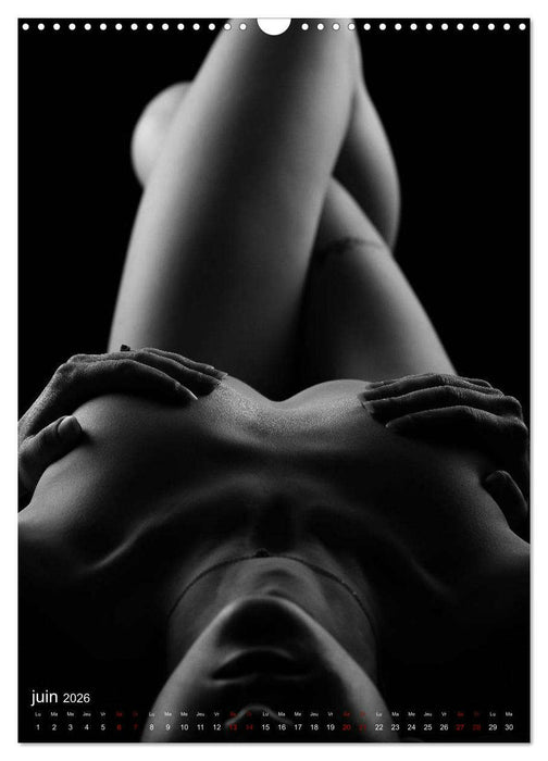 Apparat lumineux (CALVENDO Calendrier mensuel 2026)