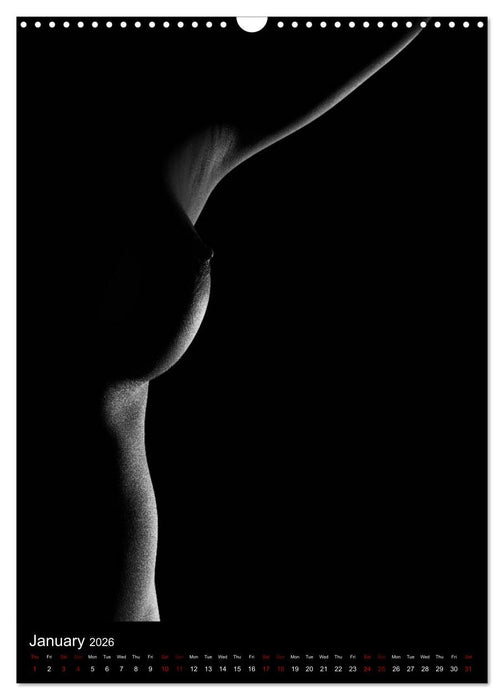 erotic shadows 2026 (CALVENDO Monthly Calendar 2026)