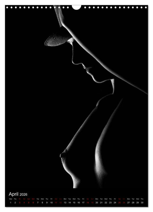 erotic shadows 2026 (CALVENDO Monthly Calendar 2026)