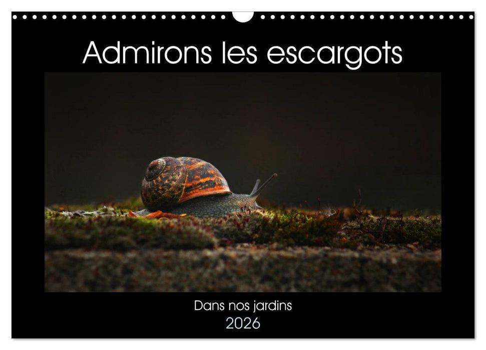 Admirons les escargots (CALVENDO Calendrier mensuel 2026)