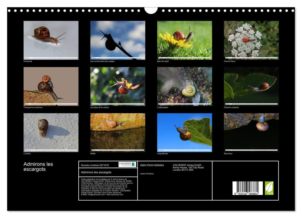 Admirons les escargots (CALVENDO Calendrier mensuel 2026)
