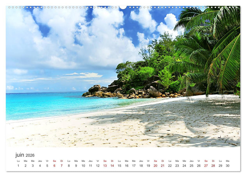 Plages de rêve Seychelles (CALVENDO Calendrier supérieur 2026)