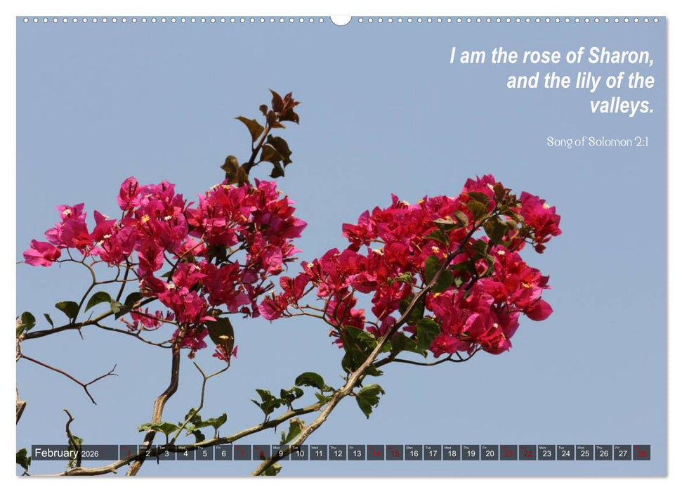 ISRAEL (CALVENDO Premium-Calendar 2026)