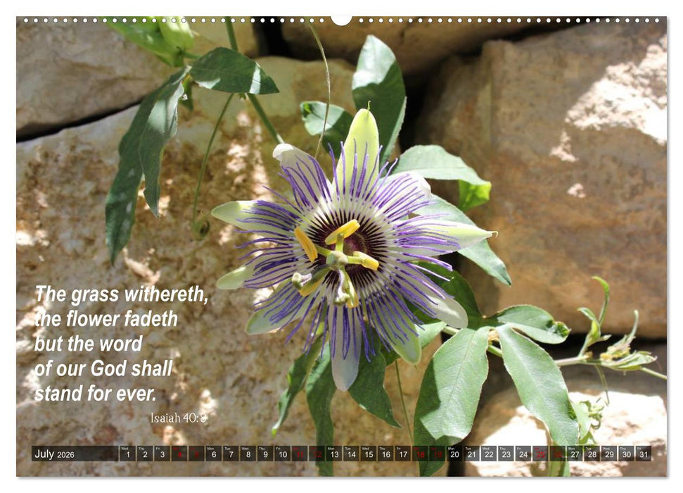 ISRAEL (CALVENDO Premium-Calendar 2026)