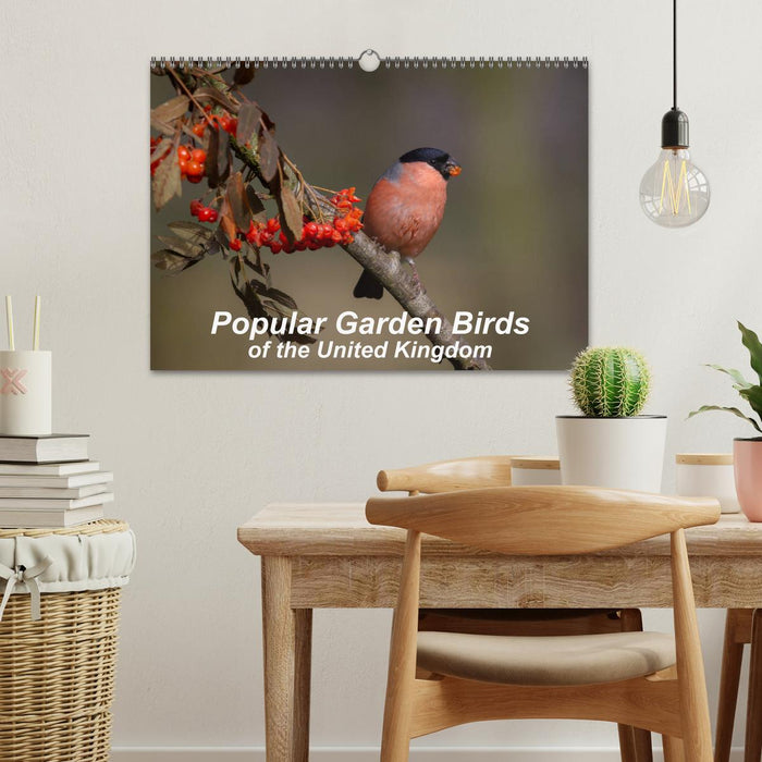 Popular garden birds of the united kingdom (CALVENDO Monthly Calendar 2026)