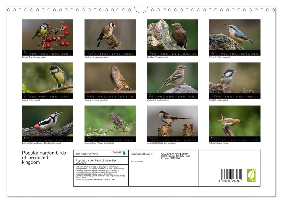 Popular garden birds of the united kingdom (CALVENDO Monthly Calendar 2026)