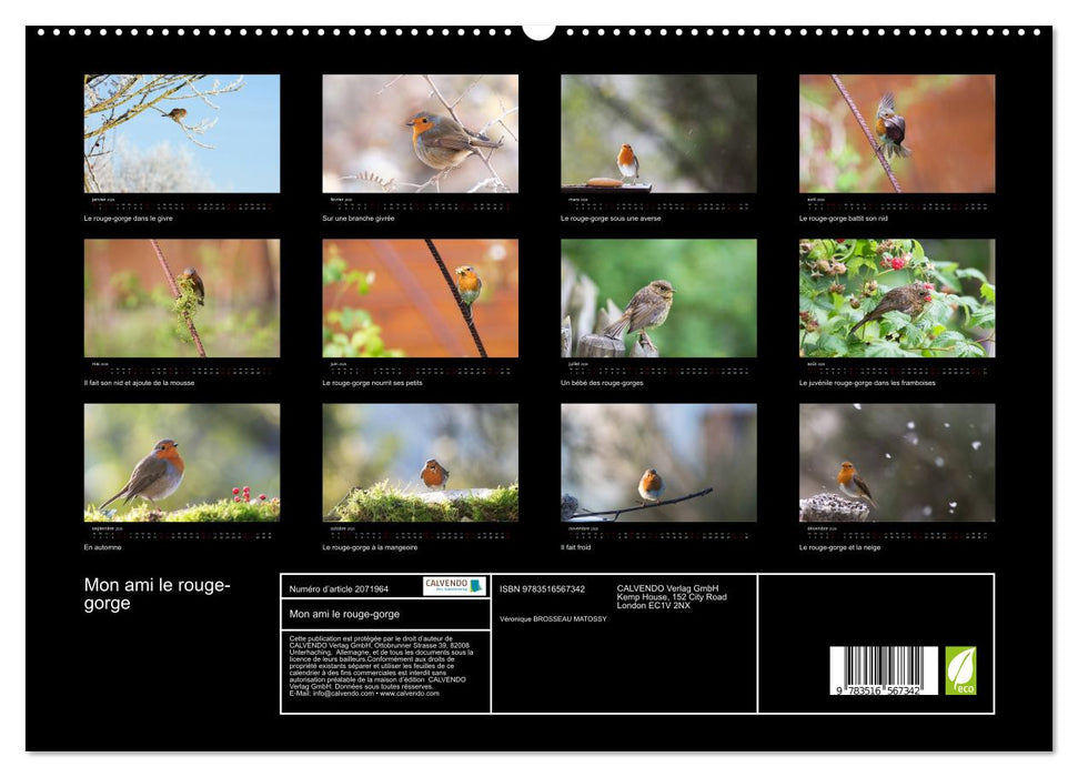Mon ami le rouge-gorge (CALVENDO Calendrier supérieur 2026)