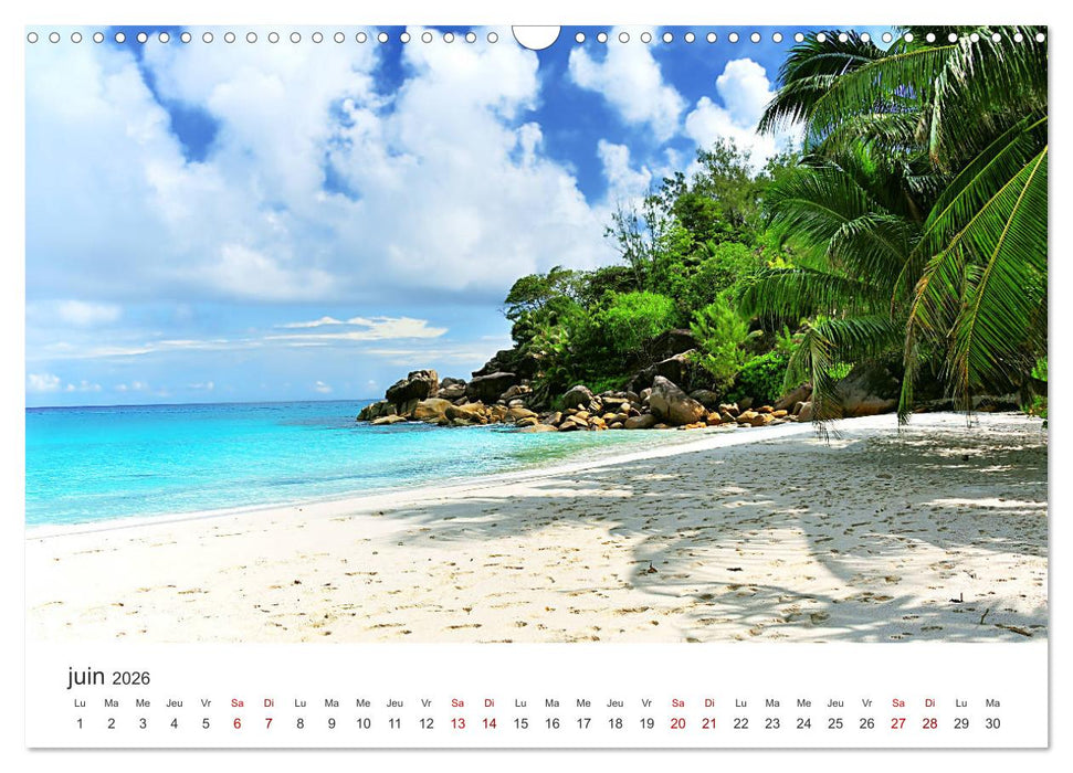 Plages de rêve Seychelles (CALVENDO Calendrier mensuel 2026)