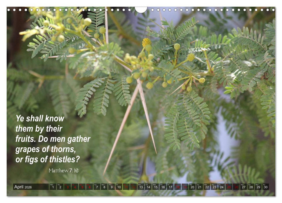 ISRAEL (CALVENDO Monthly Calendar 2026)