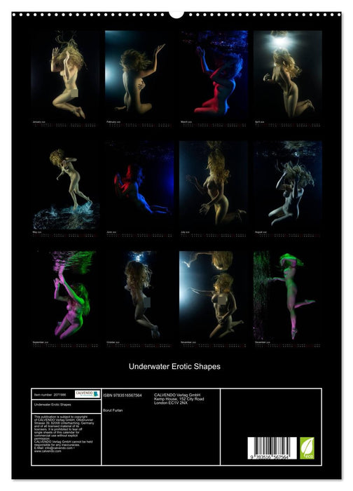 Underwater Erotic Shapes (CALVENDO Premium-Calendar 2026)