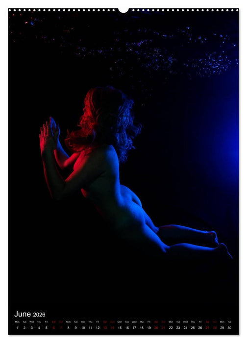 Underwater Erotic Shapes (CALVENDO Premium-Calendar 2026)