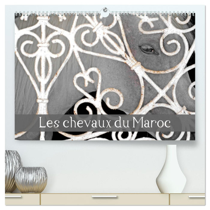 Les chevaux du Maroc (CALVENDO Calendrier supérieur 2026)