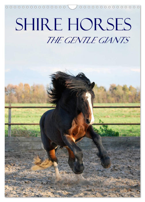 Shire Horses The Gentle Giants (CALVENDO Monthly Calendar 2026)