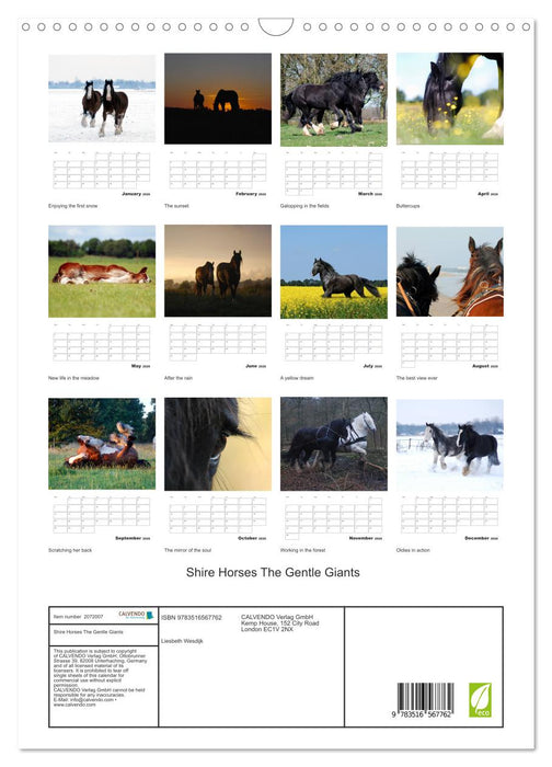 Shire Horses The Gentle Giants (CALVENDO Monthly Calendar 2026)