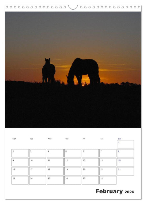 Shire Horses The Gentle Giants (CALVENDO Monthly Calendar 2026)
