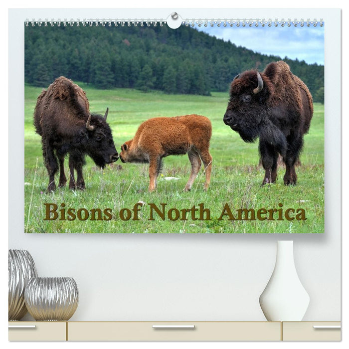 Bisons of North America (CALVENDO Premium-Calendar 2026)