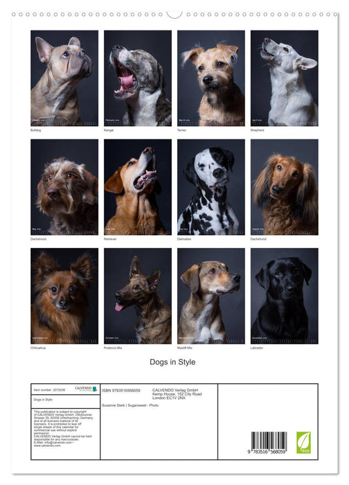 Dogs in Style (CALVENDO Premium-Calendar 2026)