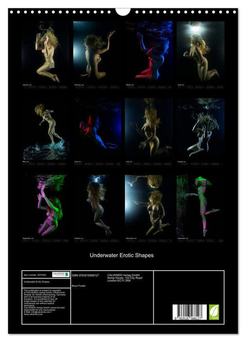 Underwater Erotic Shapes (CALVENDO Monthly Calendar 2026)