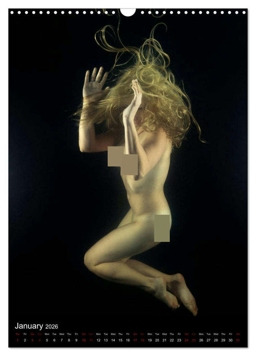 Underwater Erotic Shapes (CALVENDO Monthly Calendar 2026)