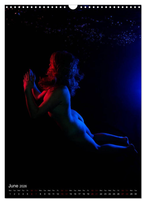 Underwater Erotic Shapes (CALVENDO Monthly Calendar 2026)