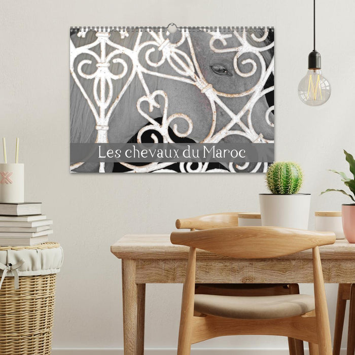 Les chevaux du Maroc (CALVENDO Calendrier mensuel 2026)