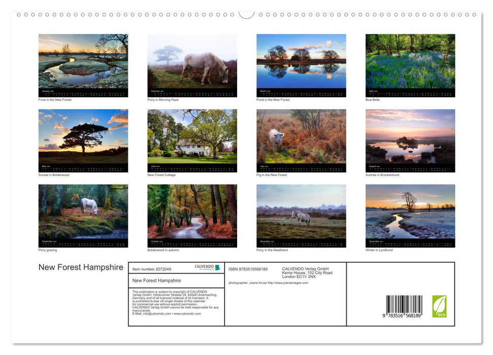 New Forest Hampshire (CALVENDO Premium-Calendar 2026)