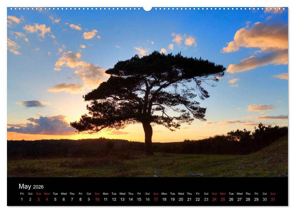 New Forest Hampshire (CALVENDO Premium-Calendar 2026)