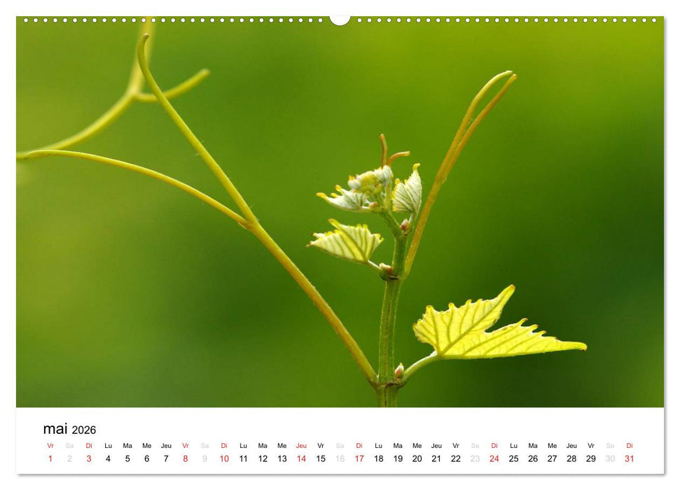 Genève Points de vue (CALVENDO Calendrier supérieur 2026)