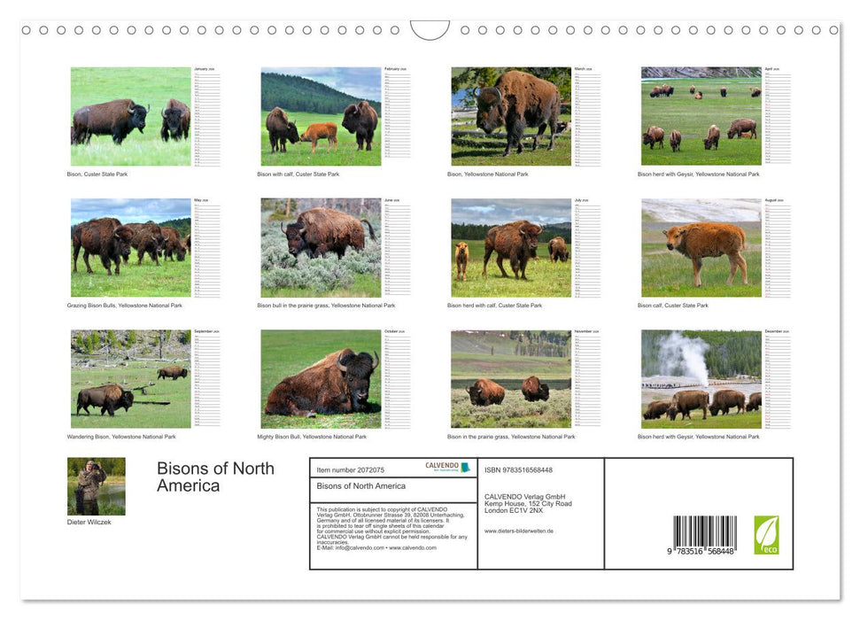 Bisons of North America (CALVENDO Monthly Calendar 2026)
