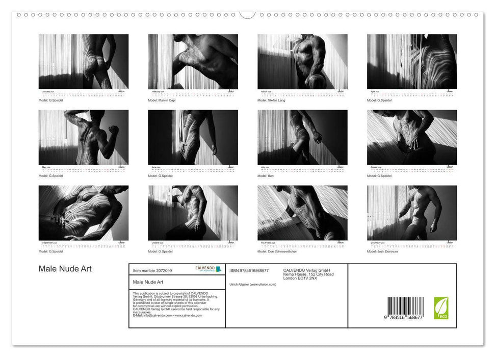 Male Nude Art (CALVENDO Premium-Calendar 2026)